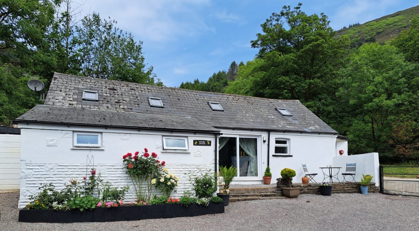Daffodil Cottage Daffodil Cottage